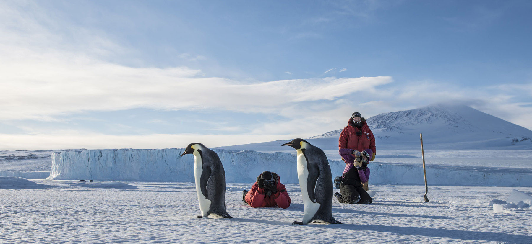 Paradise Frozen: 10 Incredible Antarctica Facts and Photos