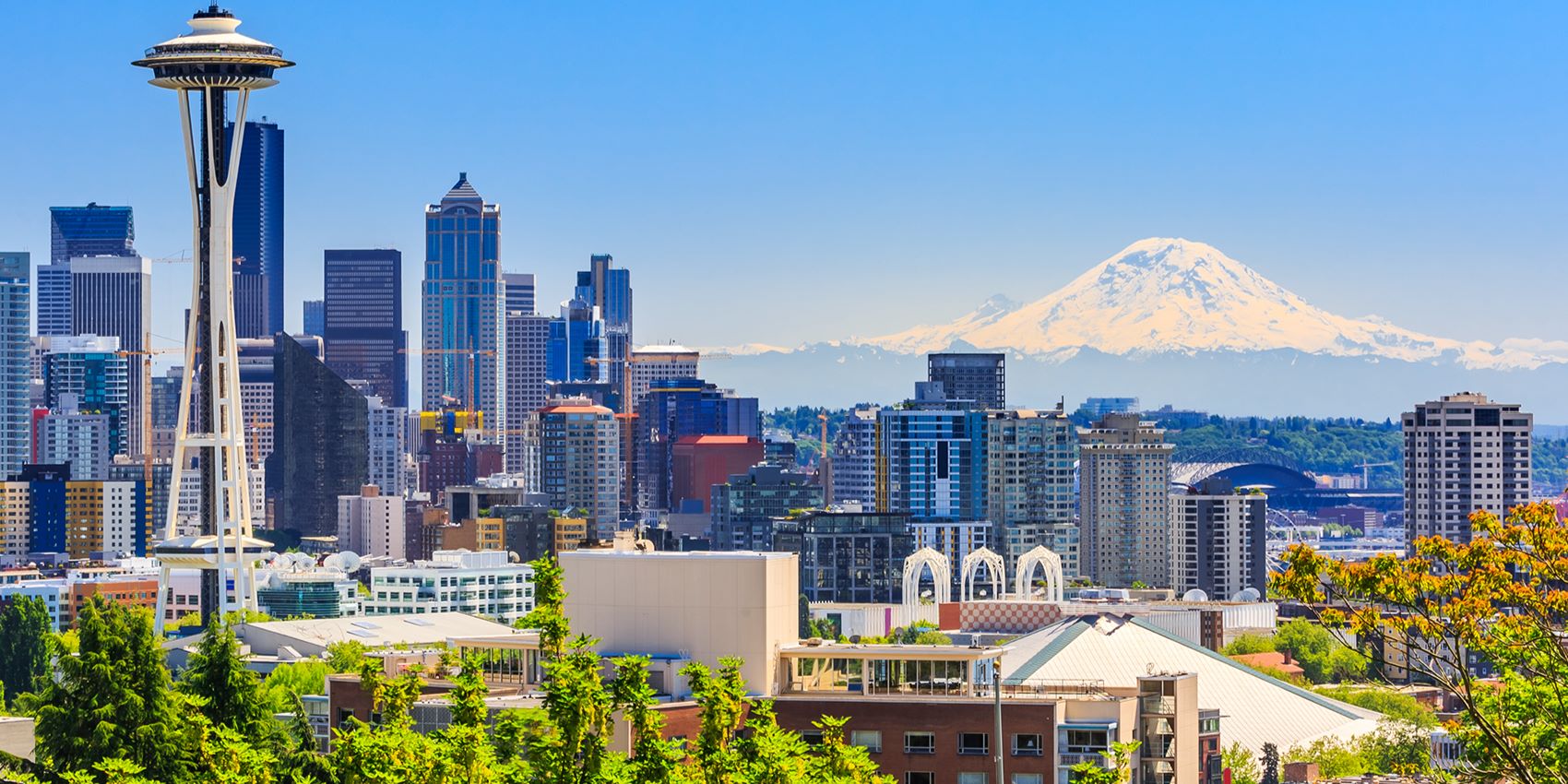 city skyline with snowcapped mountain in background