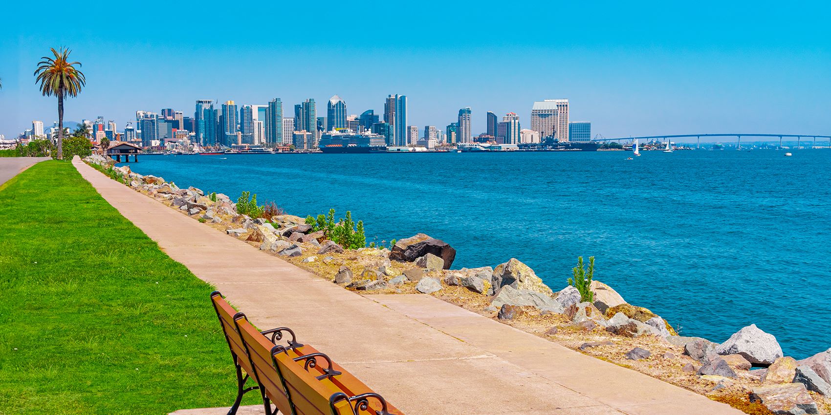 view of city skyline from a park bench on a sunny day