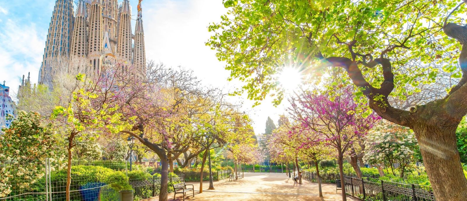 sunny day in a park with colorful trees and church in the background