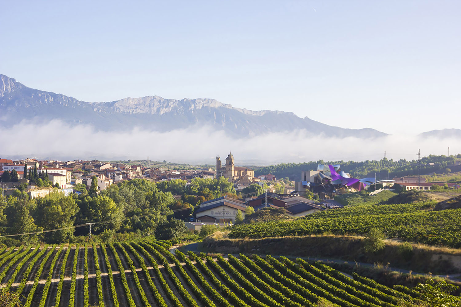 Frank Gehry's Boutique Hotel Near Eltziego in the Wine Region of La Rioja