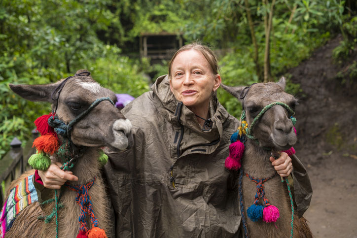 Portrait of Two lamas and smiling Senior woman