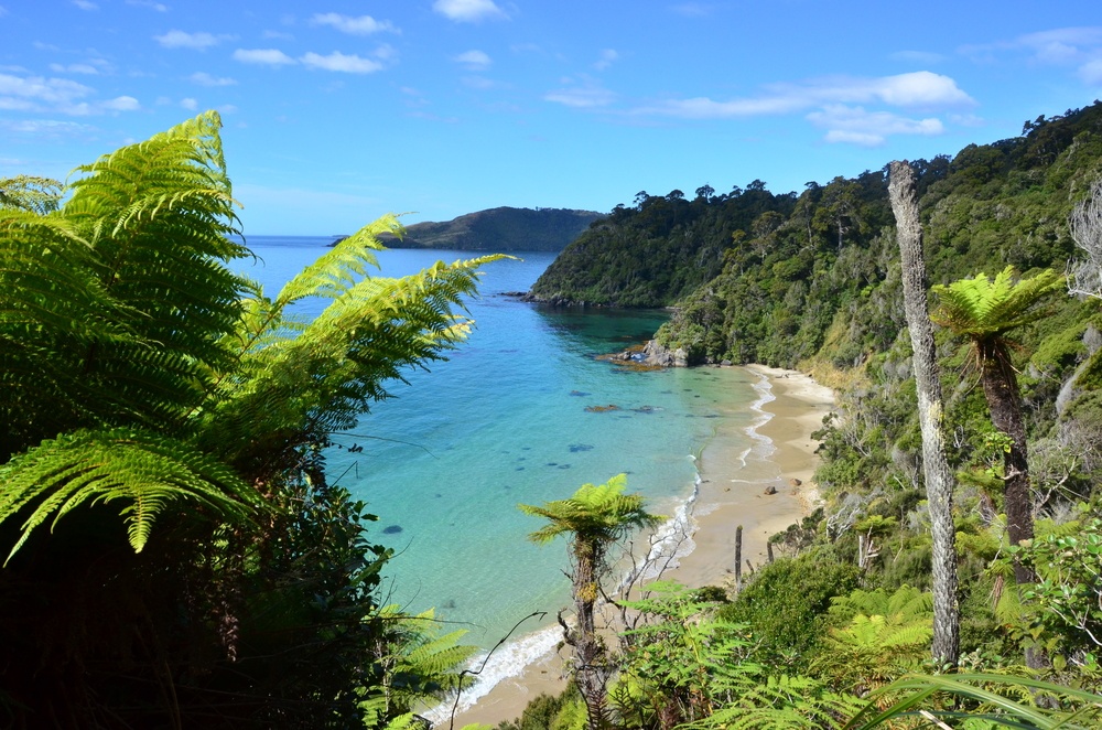 12-NIGHT NEW ZEALAND & AUSTRALIA VOYAGE